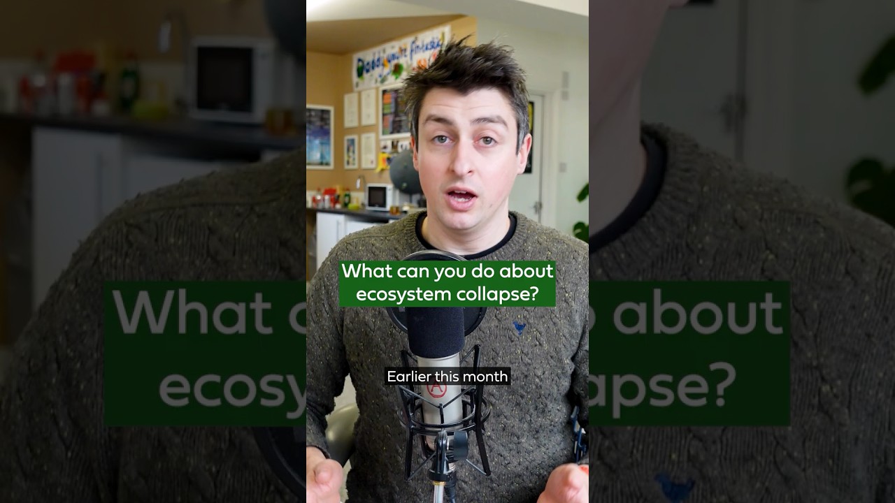 Addressing Ecosystem Collapse with Cool Earth's Initiatives 🌍