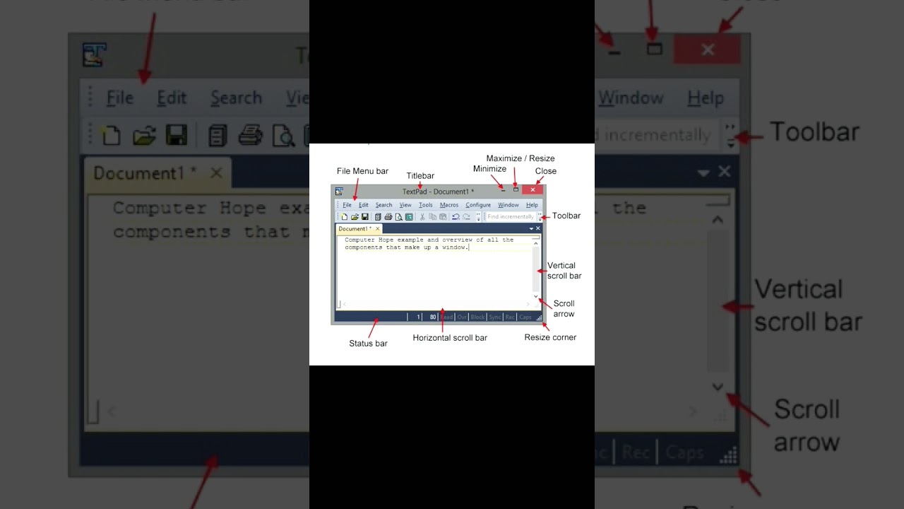 All Features of Title & Menu Bar with Ribbon 🎮