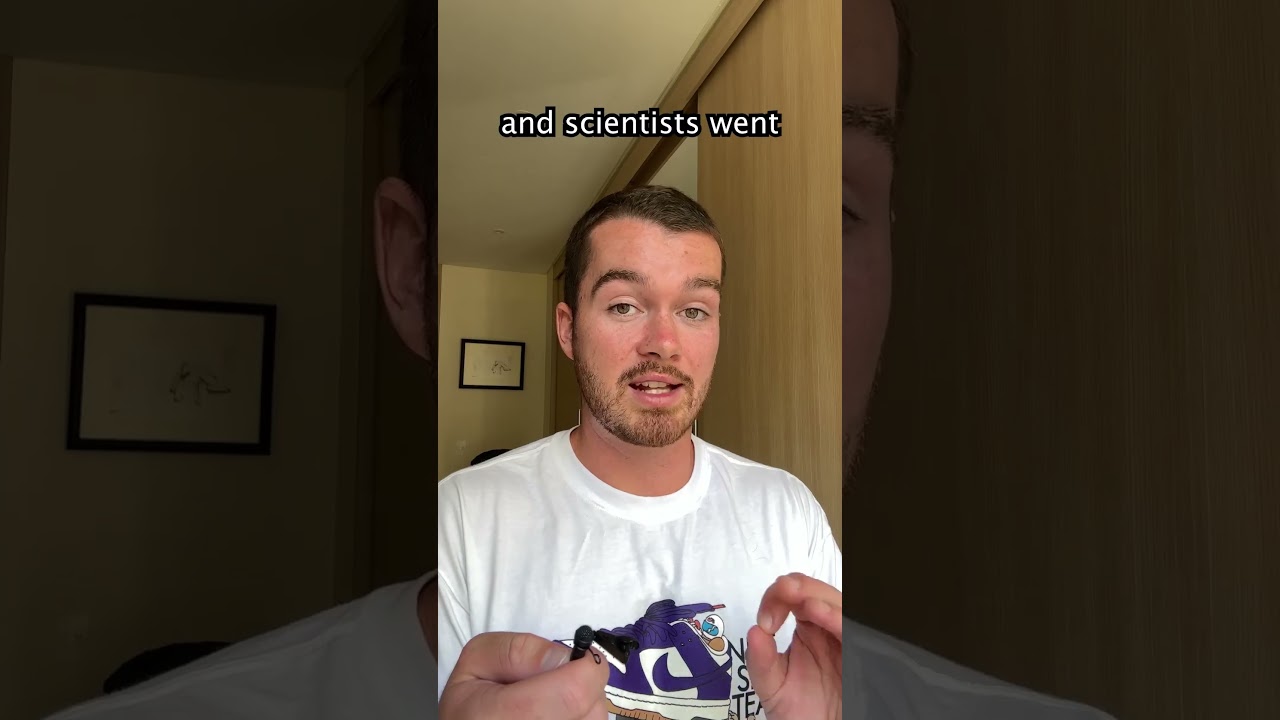 Do Doppelgangers Really Exist? 🤔