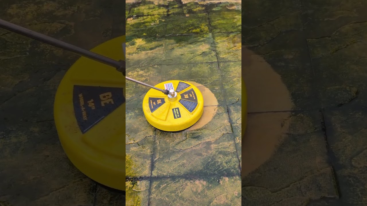 Our Greenest Patio Yet! 🌿