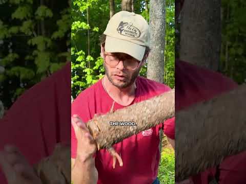 POV chopping wood with your dad #shorts