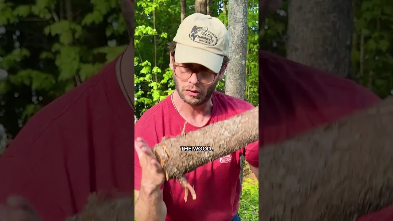 Hilarious POV of Chopping Wood with Dad! 😂 #shorts