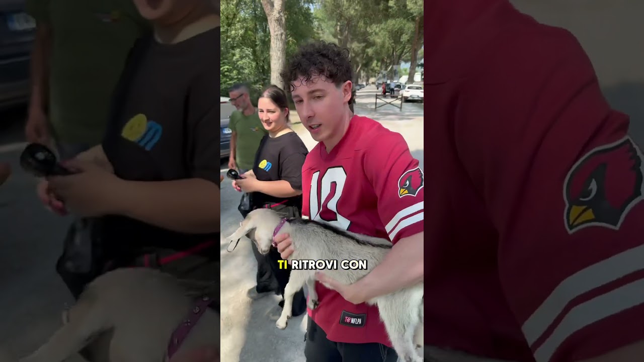 Sono stato arrestato?! π±