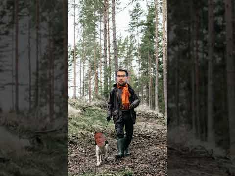 Liberalerna i Jimmies koppel 💙