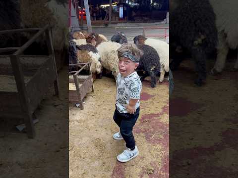 ‏يحيى يخاف من الخروف ويخاف من كل شيء هههههه لا يفوتكم #يحيى_الزعبي