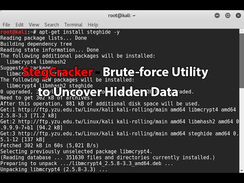 Guide to Using StegCracker π