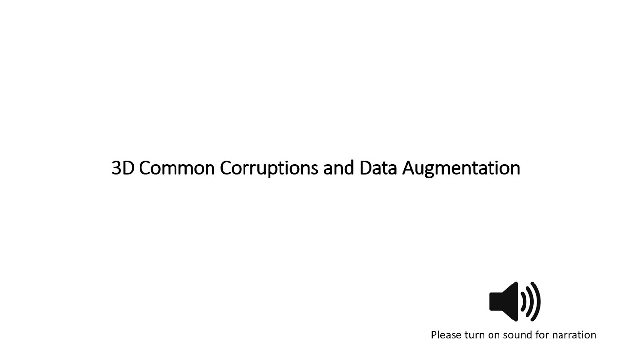 Overview of 3D Common Corruptions and Data Augmentation Techniques (CVPR 2022)