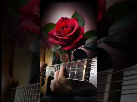 МЕЛОДИЯ ЦЕПЛЯЮЩАЯ ЗА ДУШУ #музыкадлядуши #мелодиядуши #мелодия #музыка