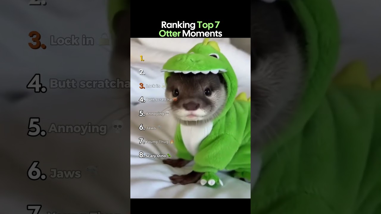 Top 7 Otter Moments 🦦