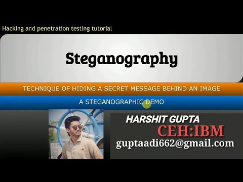 What is steganograpy.? How is it work explain