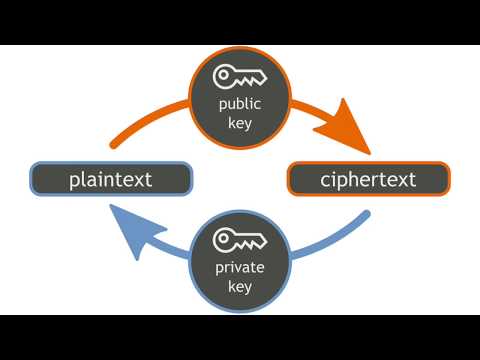 Linear Algebra Application in the Hill Cipher