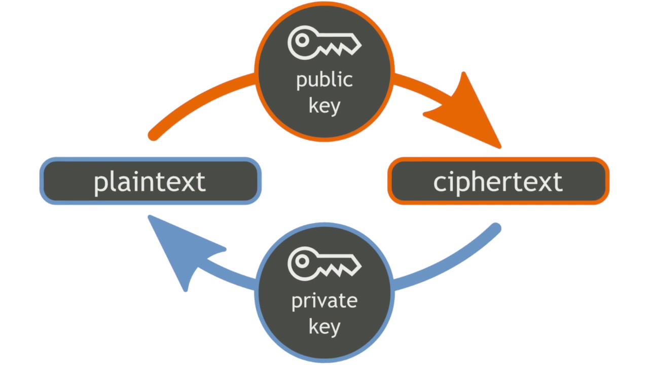 Unlocking Cryptography: How Linear Algebra Powers the Hill Cipher 🔐