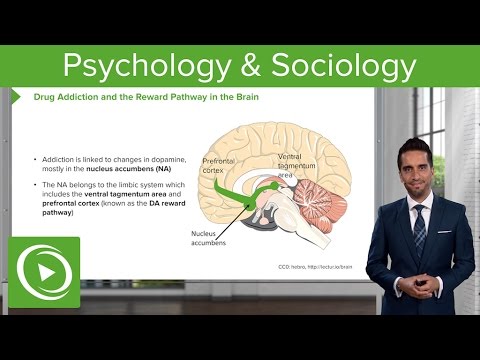 Psychology and Sociology – Course Preview | Lecturio