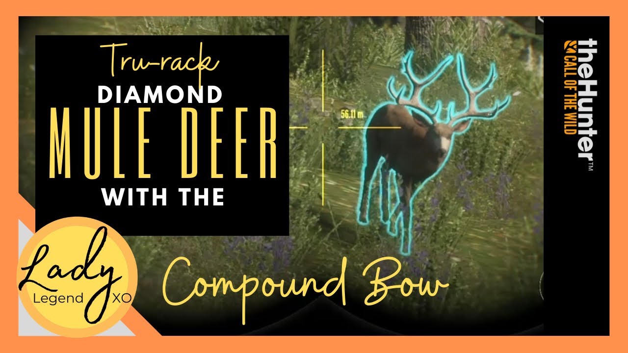 Diamond Mule Deer & Surprise Find in Hunter 🦌