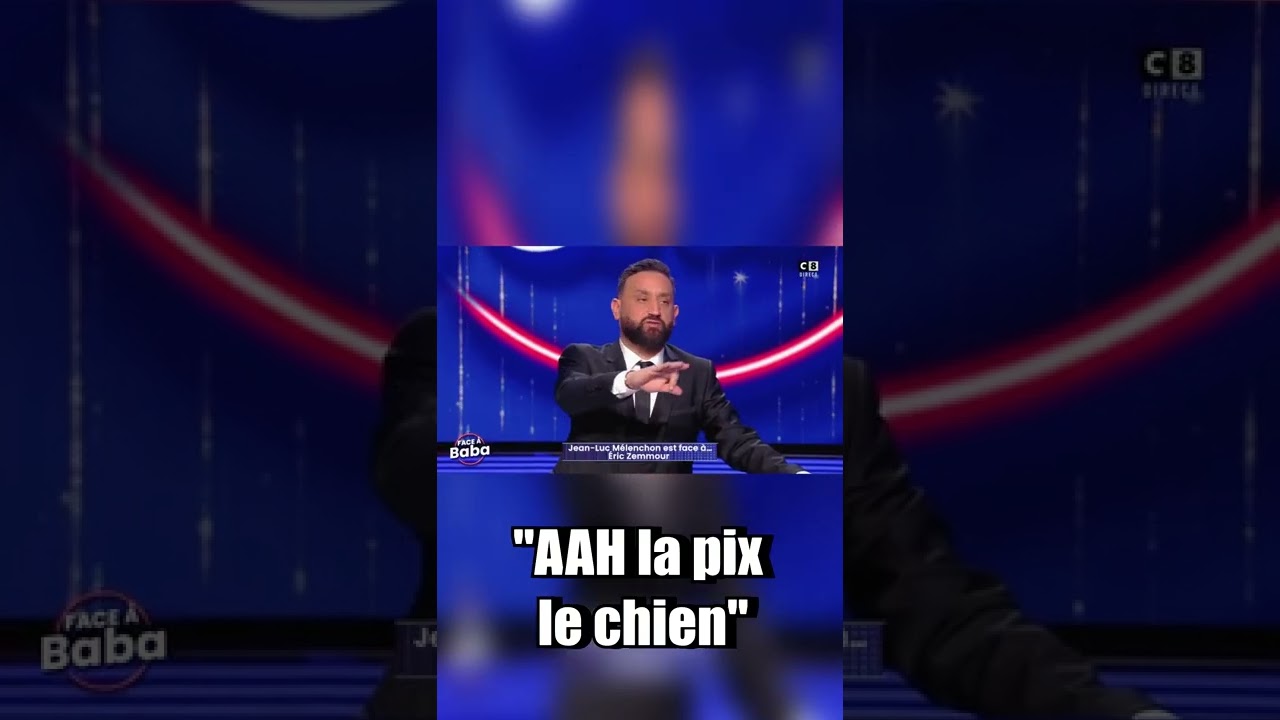 Mélenchon tacle Zemmour avec une insulte choc 🐶