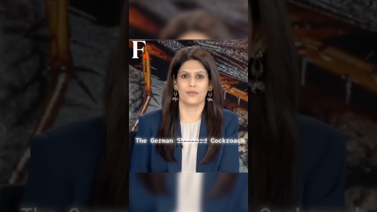 Palki Sharma Discusses Dhruv Rathee 🥶