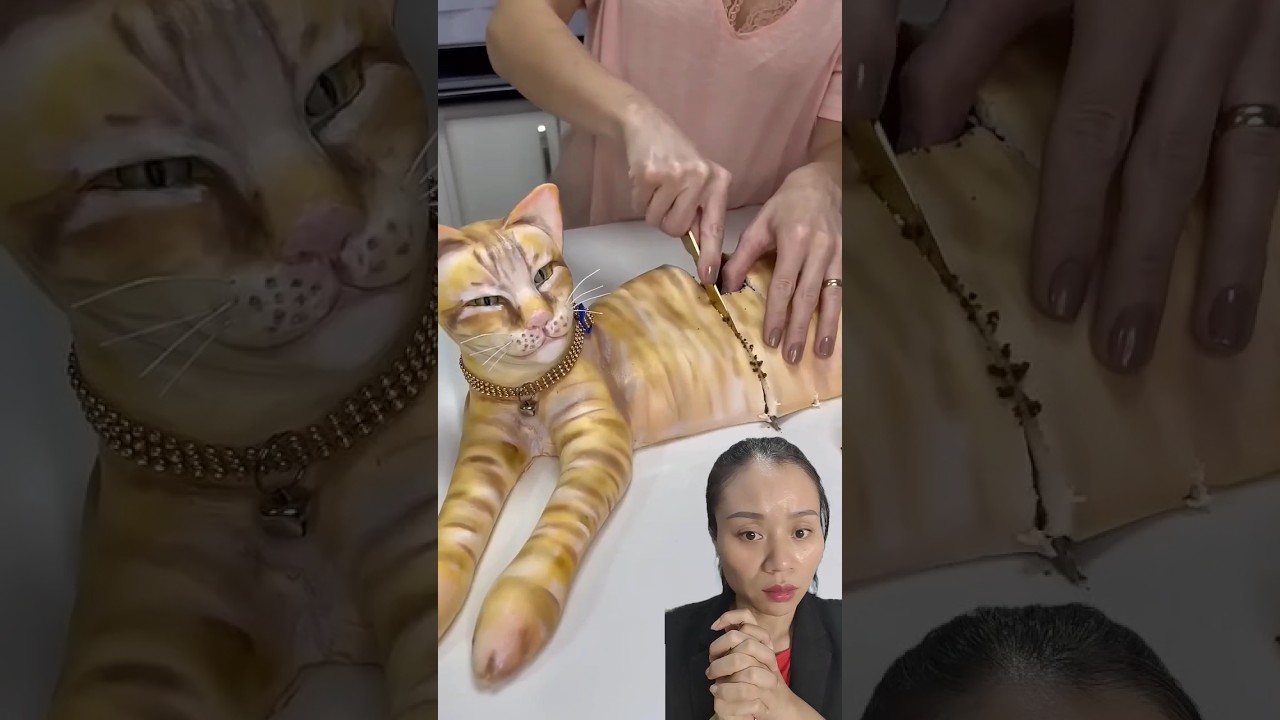 Hoa mắt khi thấy mèo 🐱 #shortsvideo