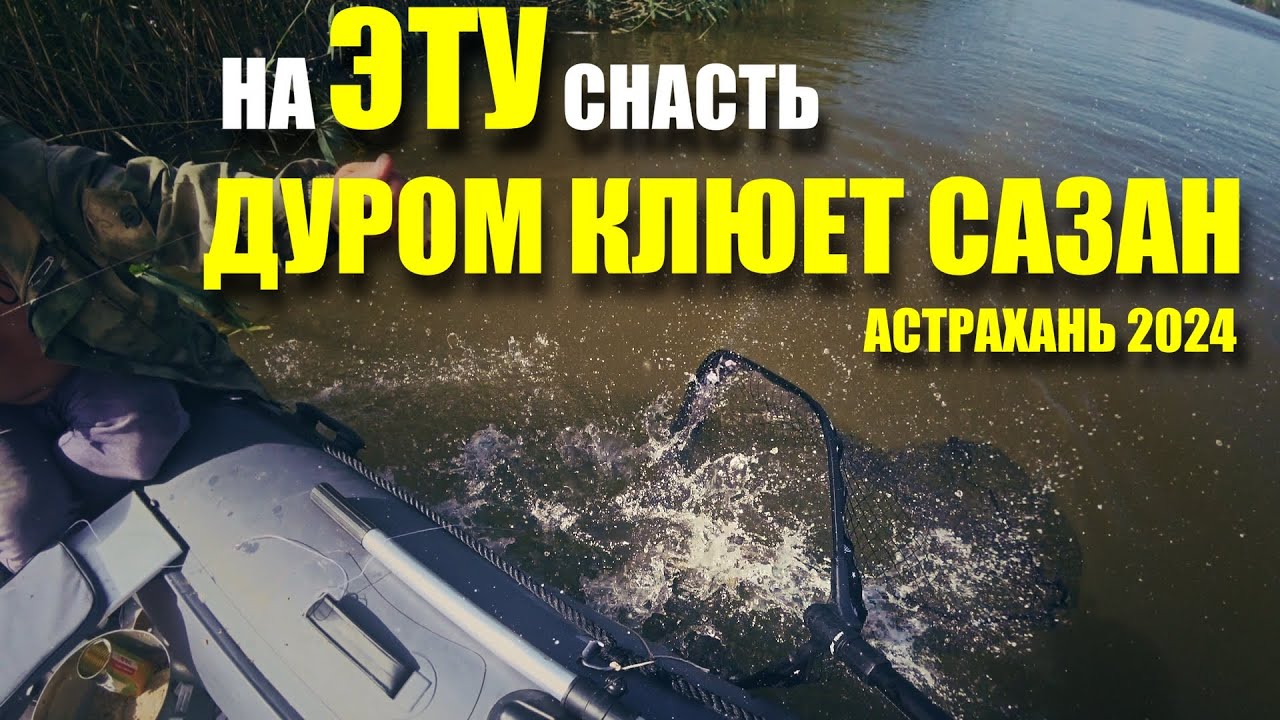 Зимняя удочка на сазана в Астрахани, июнь 2024 🎣