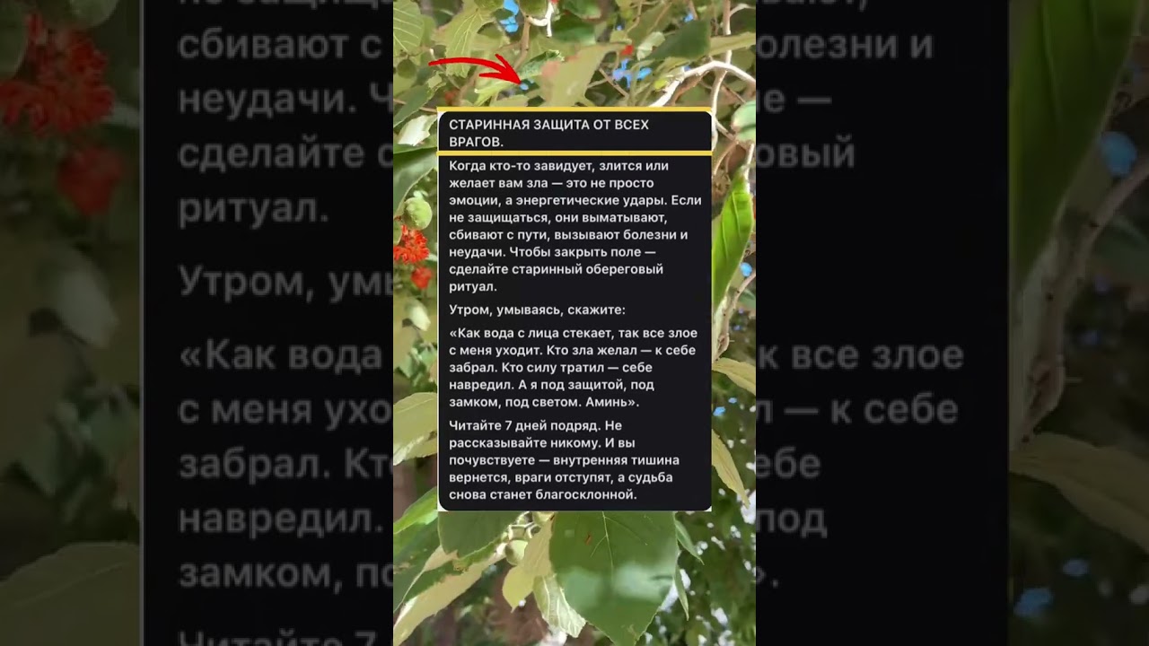 Защита от врагов 🌱