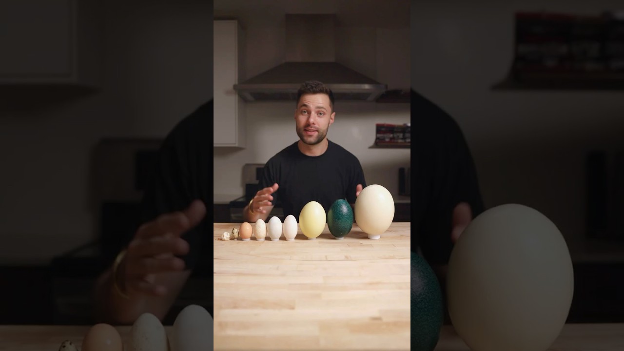 My Crazy World Egg Creations 🍳