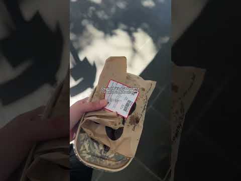 Day in the life of an Art Director & Social Media Manager in Melbourne! 😇