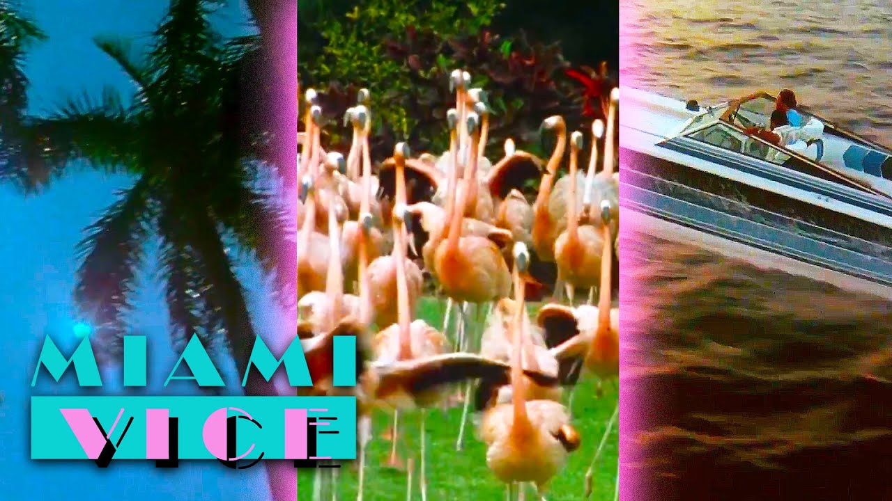 Miami Vice Opening Titles (Seasons 1-5) 🎬