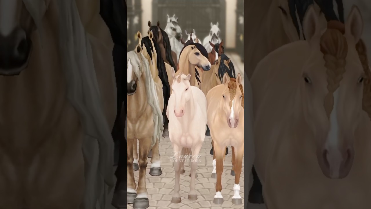 High SC Cost for Andalusian Horse 🐴