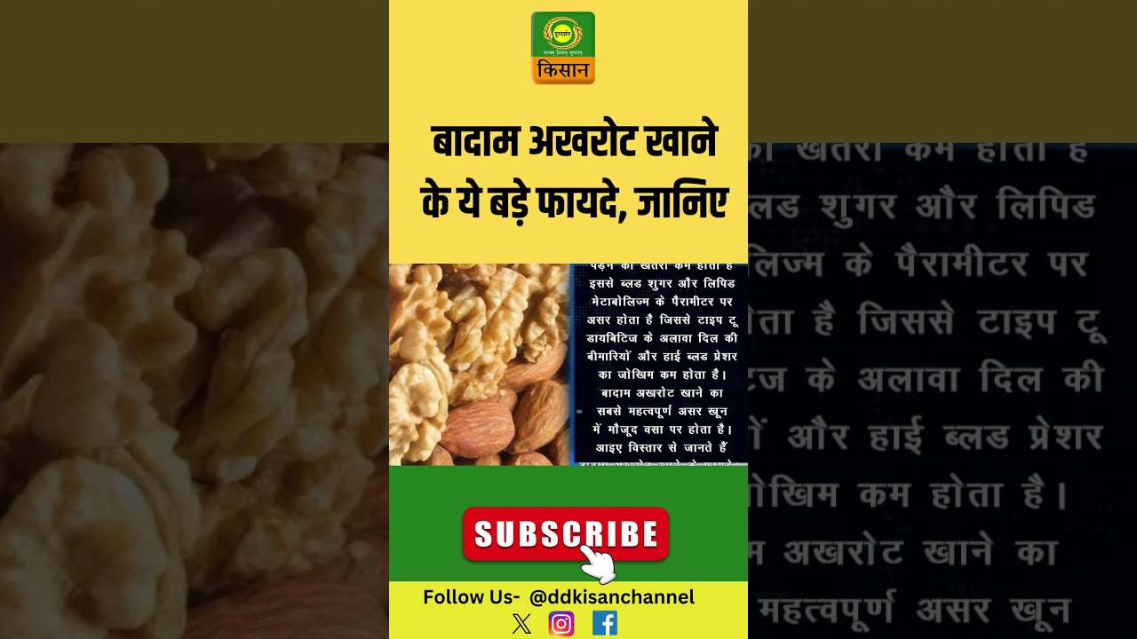 बादाम अखरोट खाने के ये बड़े फायदे, जानिए | #Badam #Akhrot #healthbenefits #Health #DDKisan