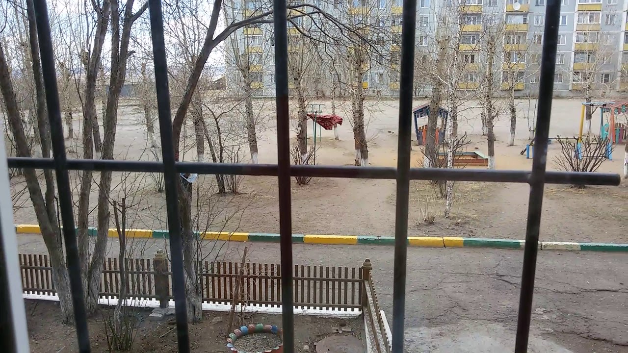 Погода в Забайкальском крае и Чите: свежие прогнозы 🌤️