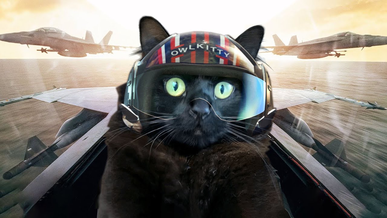 Top Gun Parody with OwlKitty 🛩️