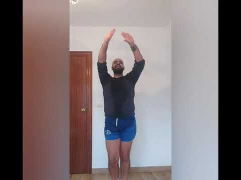 La cebolla y la húngara habibi remix