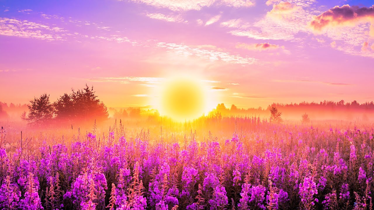 528 Hz The DEEPEST Healing | The Love Frequency - Use This For Cellular Healing & DNA Repair | 528Hz