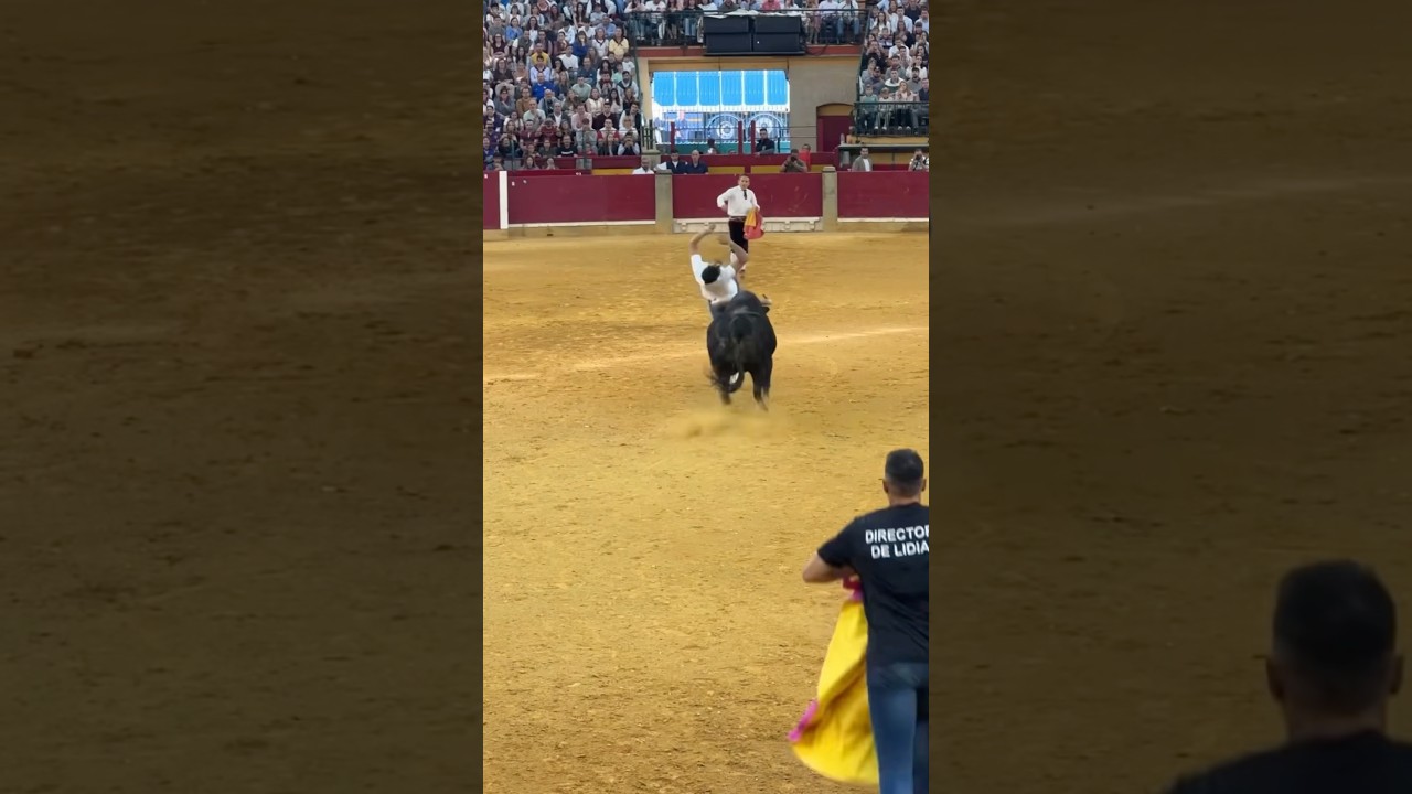 Impactante final en el Concurso de Recortes Zaragoza