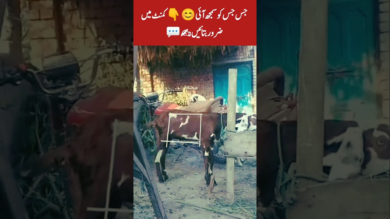 Did You Catch It? Share Your Thoughts Below! 💬