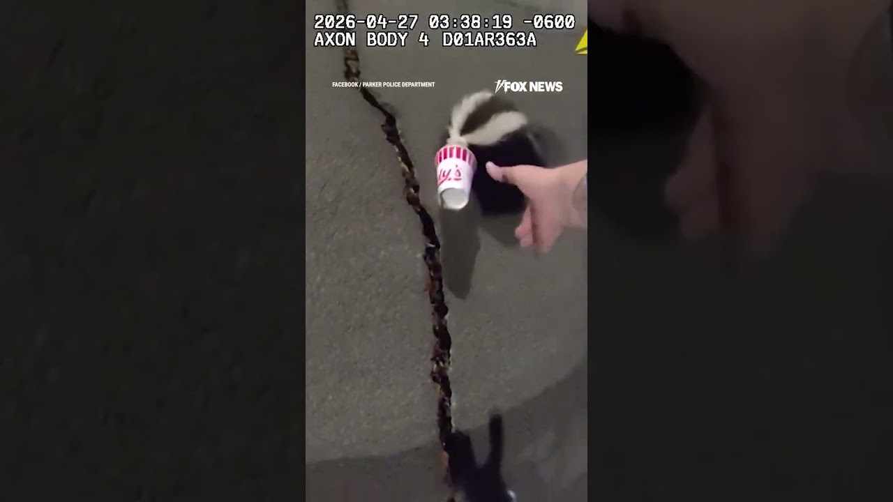 WATCH: A skunk, a stuck cup, and one very brave officer...