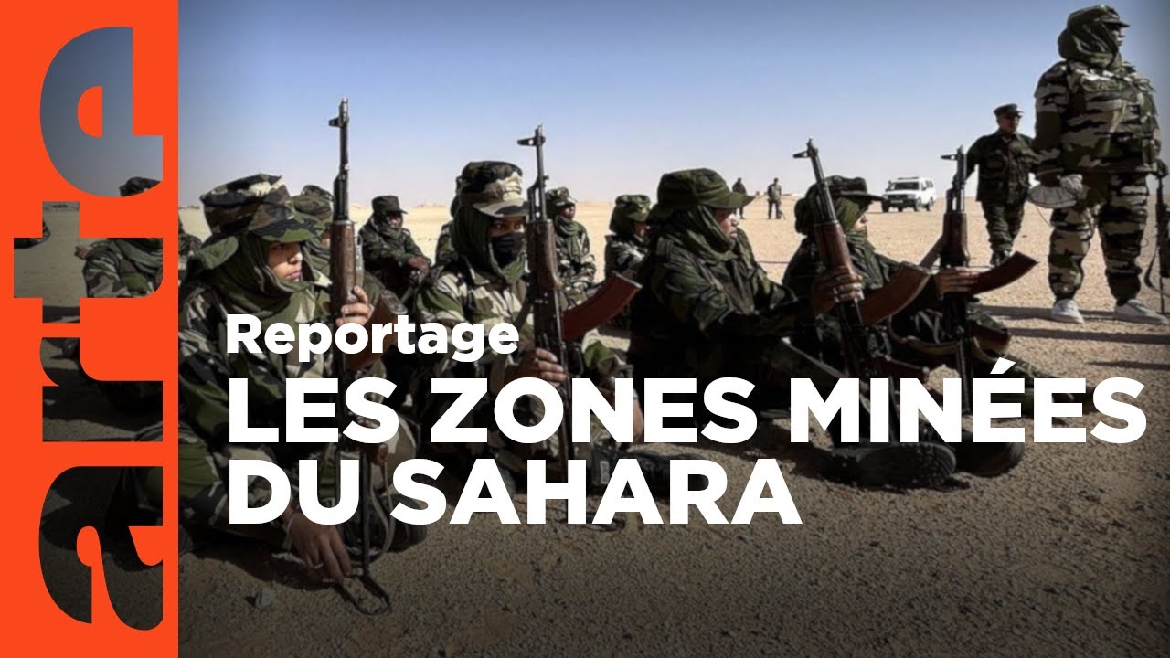 Sahara Occidental: Les Combattantes du Désert 🌵