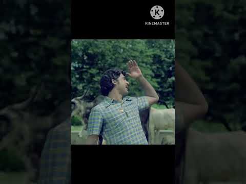 సోగ్గాడు 50 ఏళ్లు స్పెషల్ 3వ భాగం #shorts #sobhanbabu #shortsfeed #ytshorts #Anakapalli #1975 #1970s