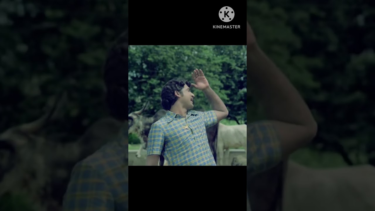 సోగ్గాడు 50 ఏళ్ల స్పెషల్ - 3వ భాగం | Sobhan Babu 🎬