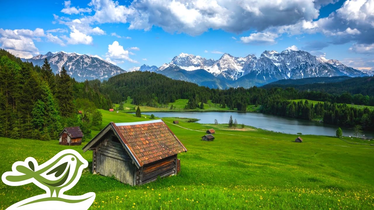 Relaxing Piano Music for Sleep & Study 🎹