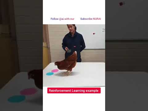 Reinforcement Learning Example ๐ค