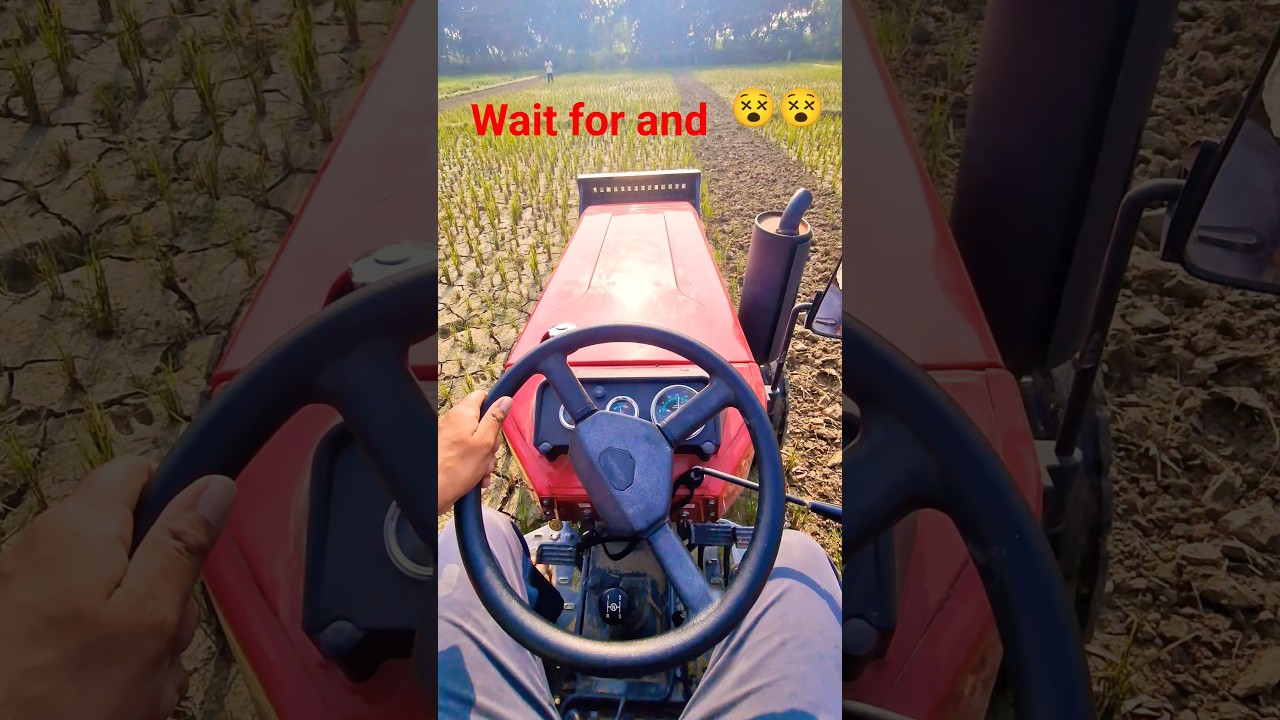 Mahindra 305 Di Orchard Tractor 🚜