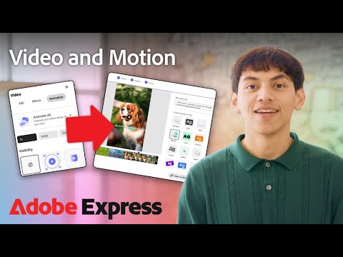 Add Animated Elements to Videos in #AdobeExpress | Adobe Express