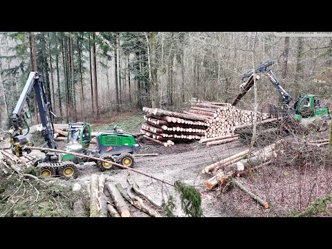 Forsttechnik in Action 🇨🇭🎄🪓 RIEBLI FORST AG