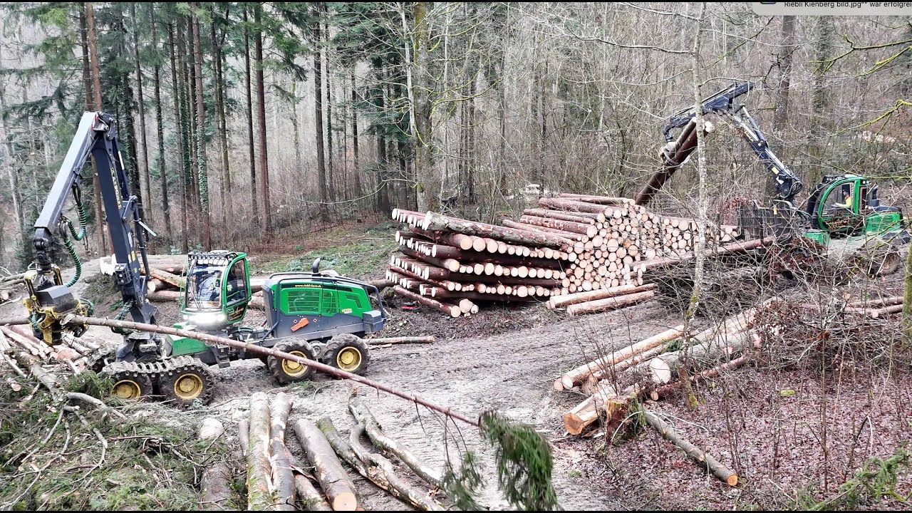 Forsttechnik in Aktion 🇨🇭 – Riebli Forst AG mit modernem Forstmaschinen-Einsatz