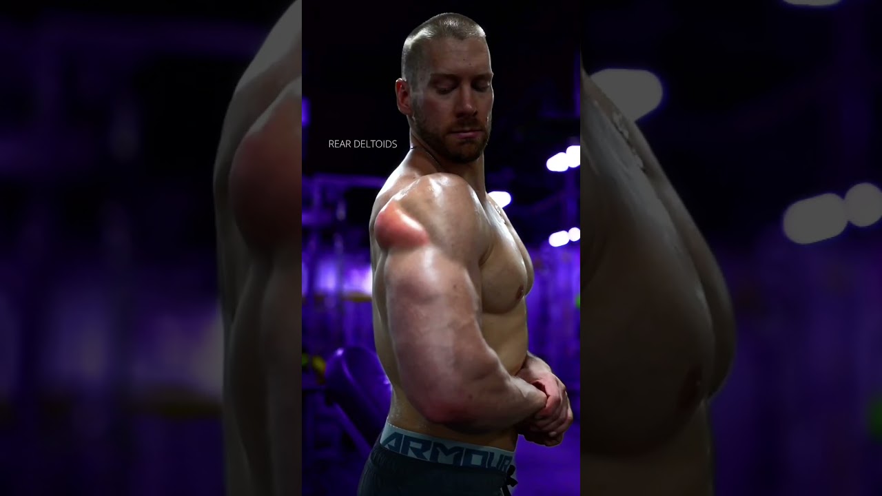 Top Upper Body Exercises for Strength 💪