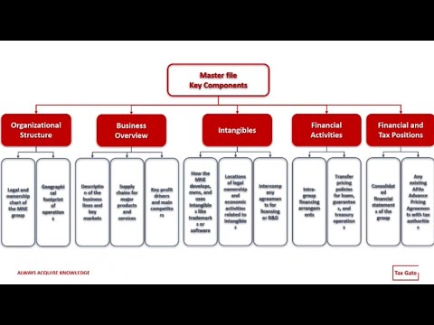 Transfer Pricing Master File Explained 📄