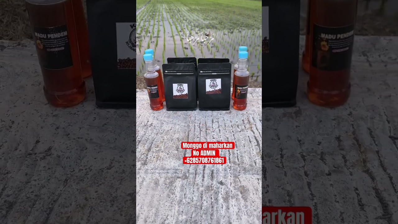 Tertarik dengan #Habibiofficial? Temukan Informasi Lengkap di Sini! ✨