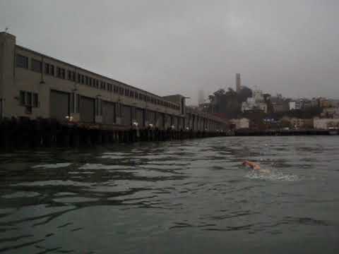 Dianna Shuster's 500th Alcatraz Swim Crossing 🏊‍♀️