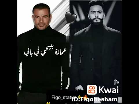 تامر حسنى أم عمرو دياب؟ من الأفضل؟