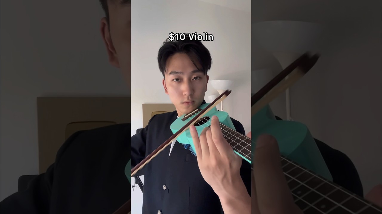$1 vs $10,000 Violin… #aylex #violin #violinist #demonslayer #violinmusic #violincover #tanjiro